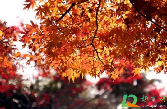 2020年几月冷空气来(最新冷空气消息2020冬天会冷吗)