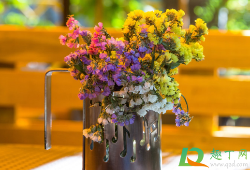 干花为什么会变黄(做干花为什么会泛黄)