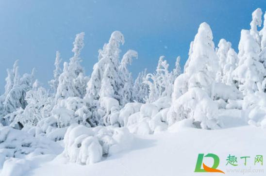 2020年冬天雪量大不大(2020年北方冬天雪量大不大)