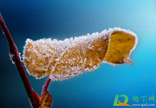立冬下雨好还是出太阳好(立秋要下雨好还是出太阳好)