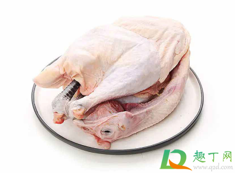 老母鸡的鸡油一起炖吗(炖老母鸡汤鸡油要吗) 老母鸡的鸡油一起炖吗(炖老母鸡汤鸡油要吗)