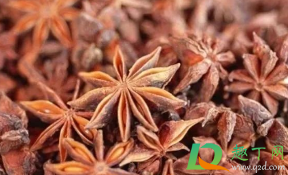 怎样辨别八角是否熏过硫磺(硫磺熏制八角) 怎样辨别八角是否熏过硫磺(硫磺熏制八角)