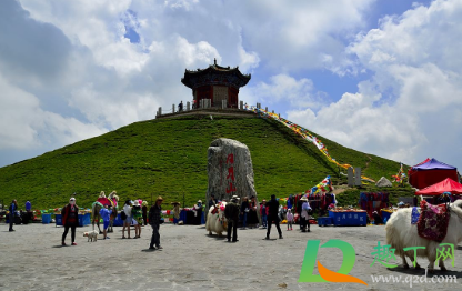 旅游去高原地区后多久能洗头(来高原第几天可以洗澡?)