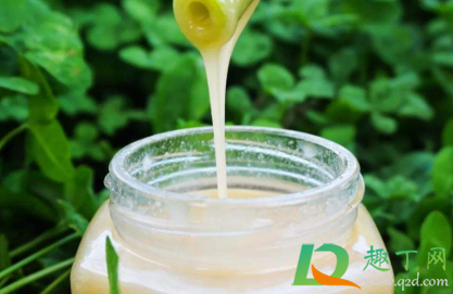 放置多年的蜂蜜黑了还能吃么(蜂蜜放很多年了变黑了还可以喝吗) 放置多年的蜂蜜黑了还能吃么(蜂蜜放很多年了变黑了还可以喝吗)