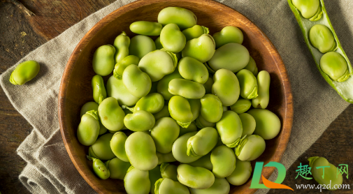 蚕豆做花肥料要经发酵吗(蚕豆开花要不要施肥)