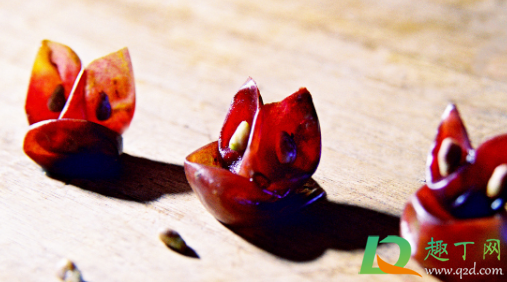 发酵过的葡萄皮可以做肥料吗(葡萄皮发酵后是什么肥料)