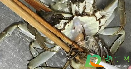 螃蟹怎么清洗不被夹手(活螃蟹夹手怎么处理)