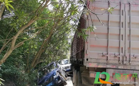 人摔倒后被车撞算谁的责任(人被车撞了谁的责任)