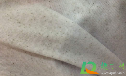 衣服上的霉斑怎么洗掉小窍门(衣服霉斑怎么洗掉小妙招)