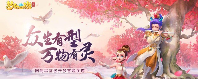 加错点怎么办(加错点怎么办txt下载)