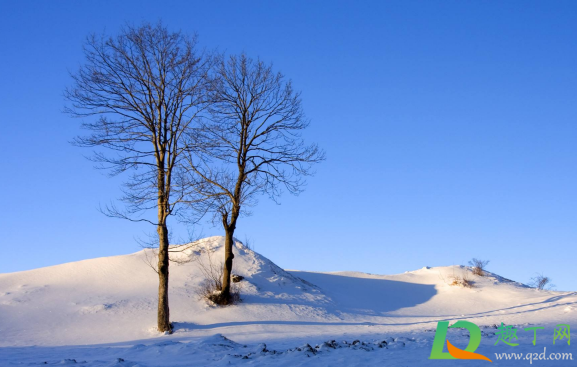 2020年冬天会出现极寒天气吗(2020年冬天会不会有极端天气)