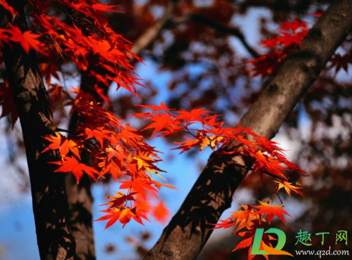 2020年秋季是不是雨季(2020年几月是冬季)