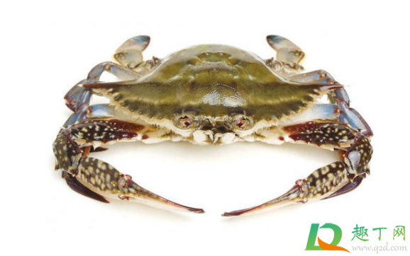 螃蟹扎了一下特别疼怎么办(螃蟹扎了一下有事吗)