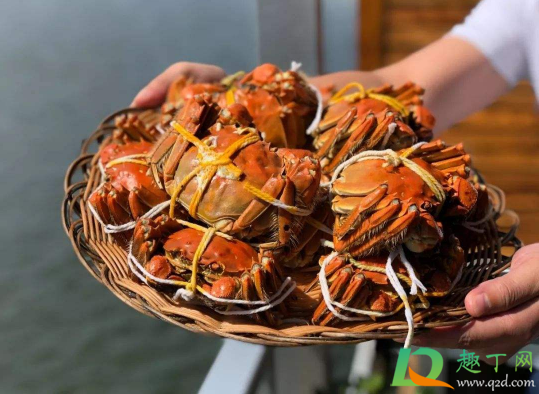 盒装的大闸蟹是打开盒好还是密封的好(包装好的大闸蟹要放冰箱吗) 盒装的大闸蟹是打开盒好还是密封的好(包装好的大闸蟹要放冰箱吗)