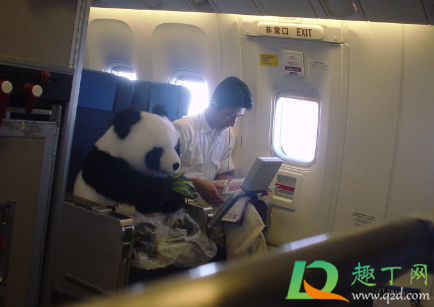 飞机上提供的毯子能带走吗(飞机上给的毯子能带走吗)