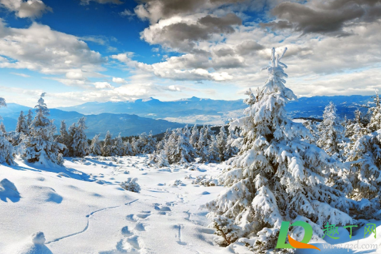 2020年冬天是最冷的一年吗(为什么2020年冬天是最冷的一年) 2020年冬天是最冷的一年吗(为什么2020年冬天是最冷的一年)