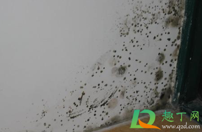 家里长期有霉味会得肺癌吗(家里发霉会致癌吗) 家里长期有霉味会得肺癌吗(家里发霉会致癌吗)