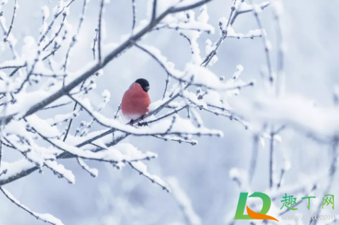 祭祖是清明节好还是冬至好(清明节哪天祭祖最好) 祭祖是清明节好还是冬至好(清明节哪天祭祖最好)