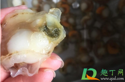 扇贝怎么清洗内脏(扇贝怎么清洗内脏图片)