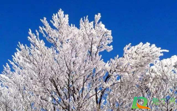 2020年冬天比往年冷吗(2020年冬天是不是比往年冷)