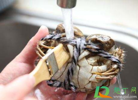 洗大闸蟹要打开壳吗(大闸蟹要洗一下吗)