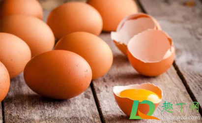 幼犬可以吃鸡蛋白吗(狗狗能不能吃蛋白)
