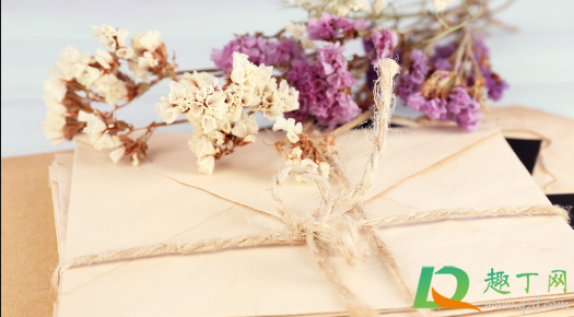 半干的干花可以插花瓶吗(插花可以用干花吗)