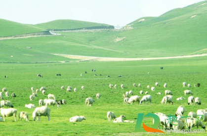 旅游去高原地区后多久能洗头(来高原第几天可以洗澡?) 旅游去高原地区后多久能洗头(来高原第几天可以洗澡?)