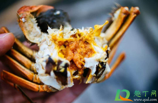 螃蟹扎了一下特别疼怎么办(螃蟹扎了一下有事吗)