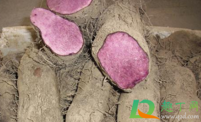 山药削皮变紫色有毒吗(山药皮削掉有点紫色可以吃吗) 山药削皮变紫色有毒吗(山药皮削掉有点紫色可以吃吗)