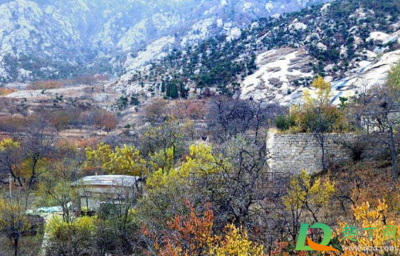 2020年立冬会下雨吗(2020年立秋下雨了吗)