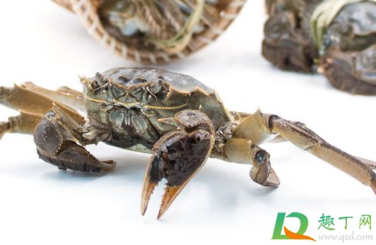 螃蟹扎了一下特别疼怎么办(螃蟹扎了一下有事吗)