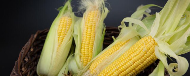 耐高温夏玉米品种有什么(耐低温玉米品种)