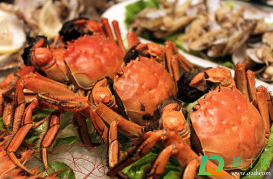 螃蟹绳子开了怎么能让螃蟹不动(有什么办法可以让螃蟹不动) 螃蟹绳子开了怎么能让螃蟹不动(有什么办法可以让螃蟹不动)