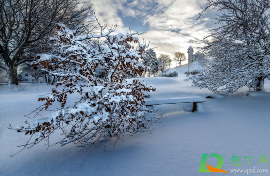 2020年冬天是最冷的一年吗(为什么2020年冬天是最冷的一年) 2020年冬天是最冷的一年吗(为什么2020年冬天是最冷的一年)