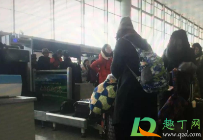 高铁花生油能过安检吗(红花油能过高铁安检吗) 高铁花生油能过安检吗(红花油能过高铁安检吗)