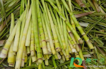 为什么竹笋过水变黄(竹笋水煮后发黄咋回事) 为什么竹笋过水变黄(竹笋水煮后发黄咋回事)