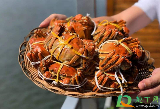 大闸蟹当天吃不完明天还能吃吗(大闸蟹晚上吃不完可以到明天吃吗)