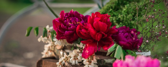 除草神器的作用是什么？(什么东西除草效果好)