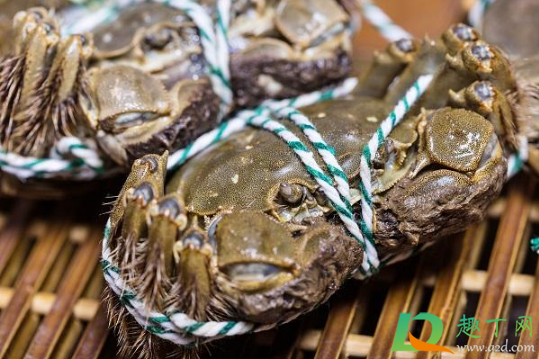 洗螃蟹绳子要拆出来吗(螃蟹绳子剪开了洗还是什么)