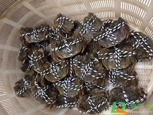 洗螃蟹绳子要拆出来吗(螃蟹绳子剪开了洗还是什么)