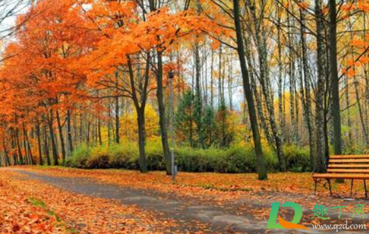 2020年秋天和冬天还会停学吗(2020年学校冬天会放假早吗) 2020年秋天和冬天还会停学吗(2020年学校冬天会放假早吗)