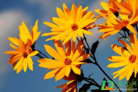 2020年秋天会干旱吗 2020年秋天会干旱吗