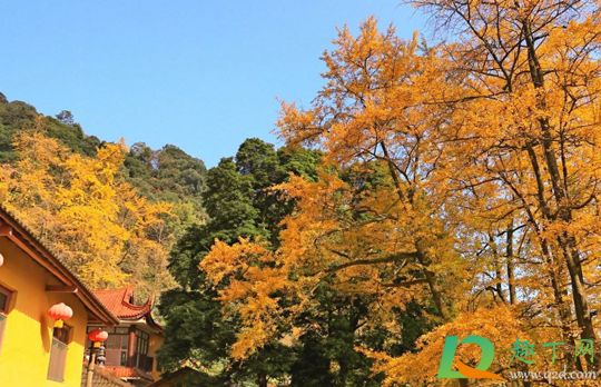 2020年秋天会干旱吗