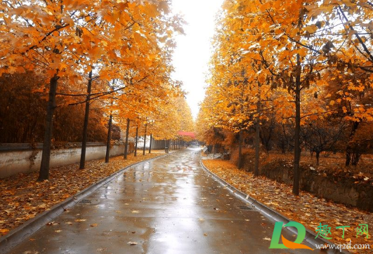 2020年秋天雨水怎么样(2020年春季雨量如何) 2020年秋天雨水怎么样(2020年春季雨量如何)