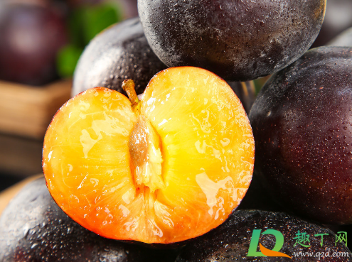 刚吃的李子种能种活吗(现在种李子树能活吗)