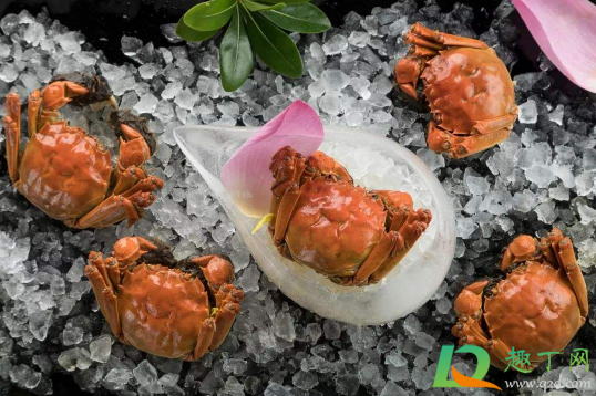 螃蟹是蘸生姜还是蘸大蒜(螃蟹蘸蒜泥好吃吗)