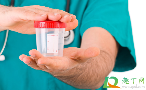 水喝的多尿是透明的正常吗(为什么喝水越多尿液越透明)