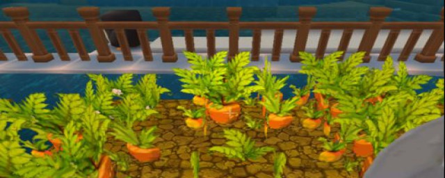 获得胡萝卜方法(种胡萝卜,最后可以得到什么?)