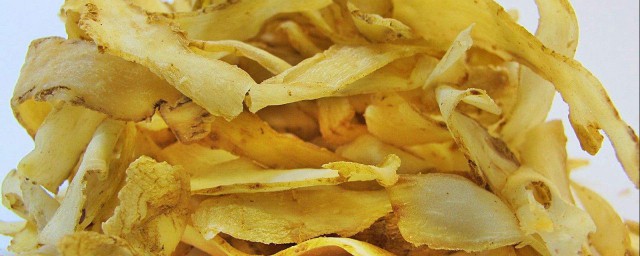 带你了解玉竹(玉竹有啥用)